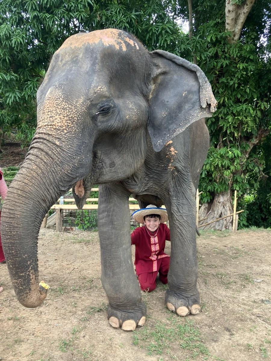 Elephant sanctuary for which the kids chose not to donate their raised $200.