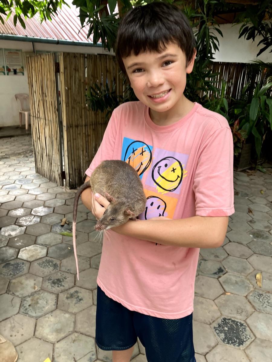 These African rats are the world's largest rats.