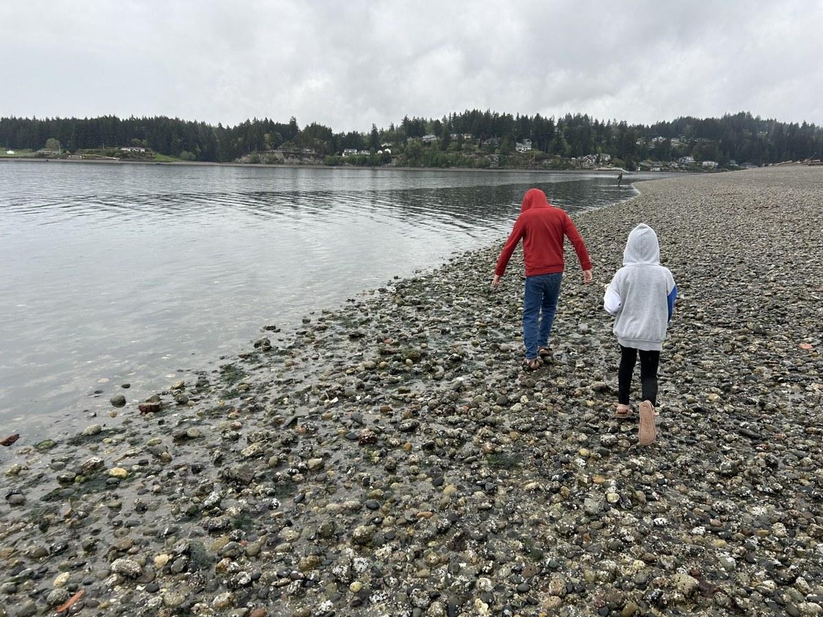 Searching millions of rocks on the beach every day for a week straight!