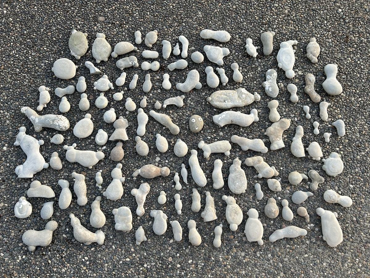 The whole collection (that we scattered back on the beach)