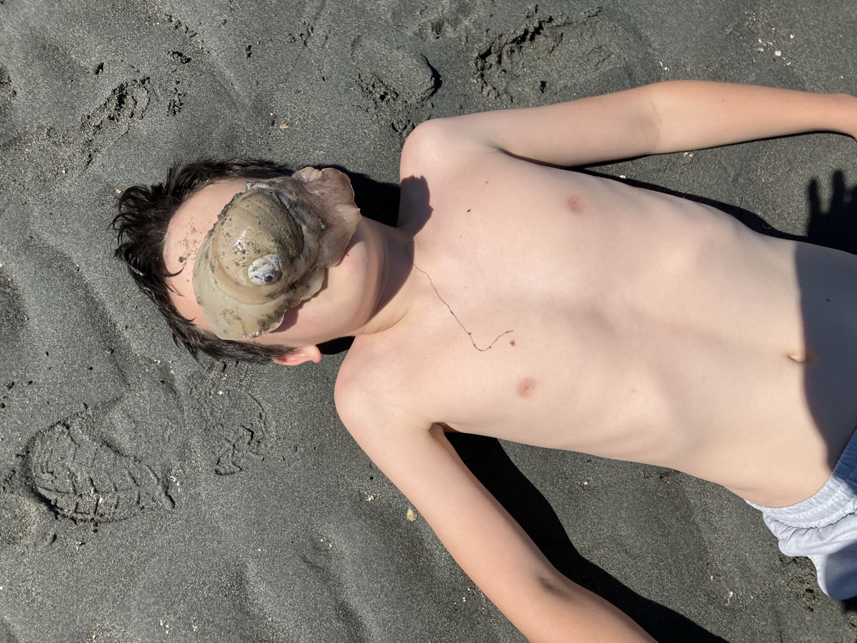 Suffocated by an aggressive sea snail